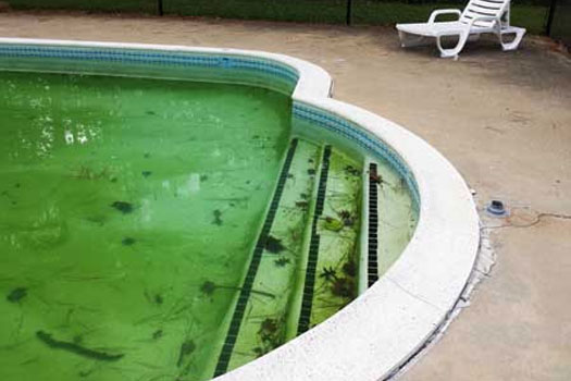 Swimming Pool Deck